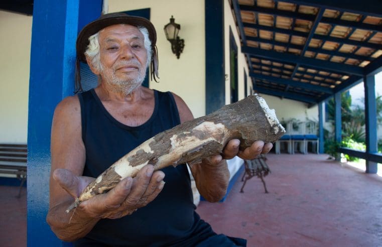 Produtores rurais e chefes de cozinha se reúnem para fortalecer a economia do campo e da cidade