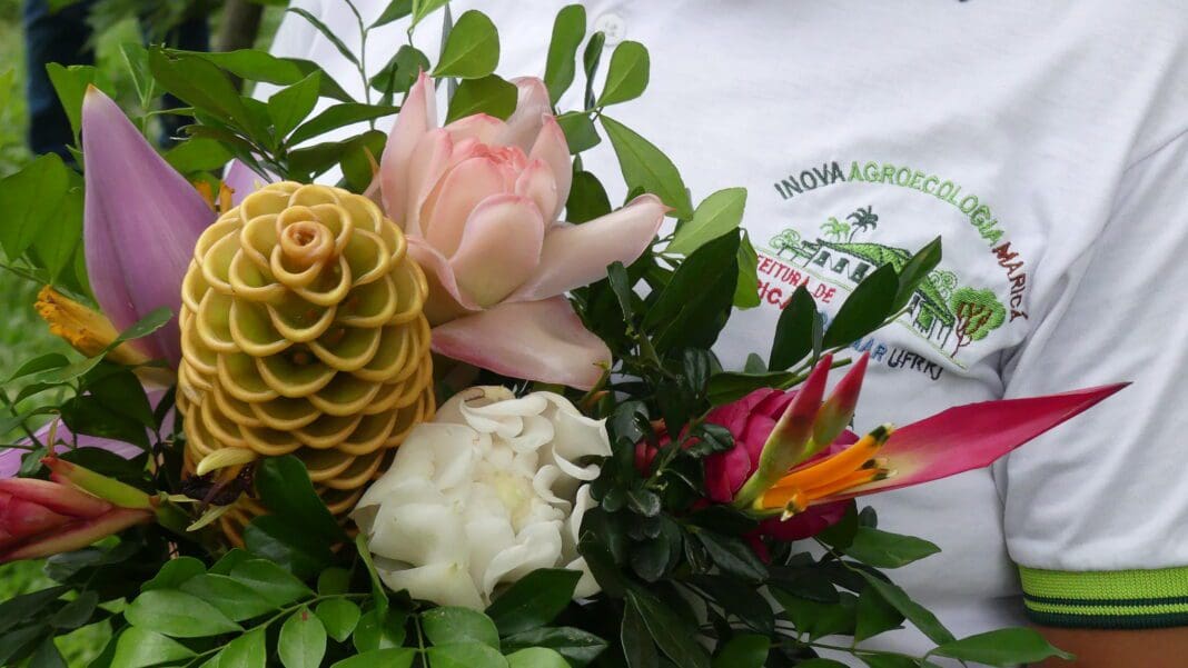 Inova promove curso de arranjos florais nesta sexta-feira (10)