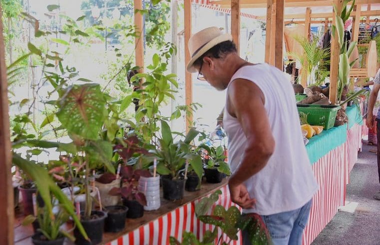 Feira da Agricultura Familiar em Araçatiba homenageia mês das mães