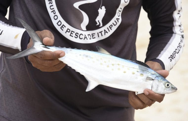 Maricá realiza 50ª Festa da Pesca em Itaipuaçu