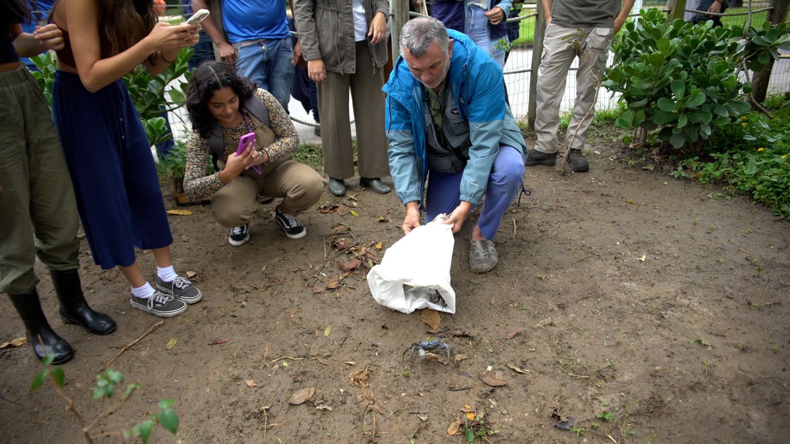 No Dia Mundial do Meio Ambiente, Projeto Manguezal da Lagoa presenteia a Lagoa Rodrigo de Freitas com novos caranguejos