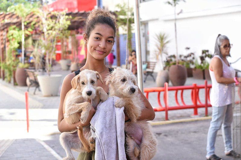 Proteção Animal consegue lar para 17 animais