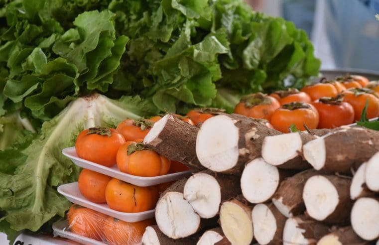 Feira de Agricultura Familiar acontece neste sábado (22/06) em Itaipuaçu