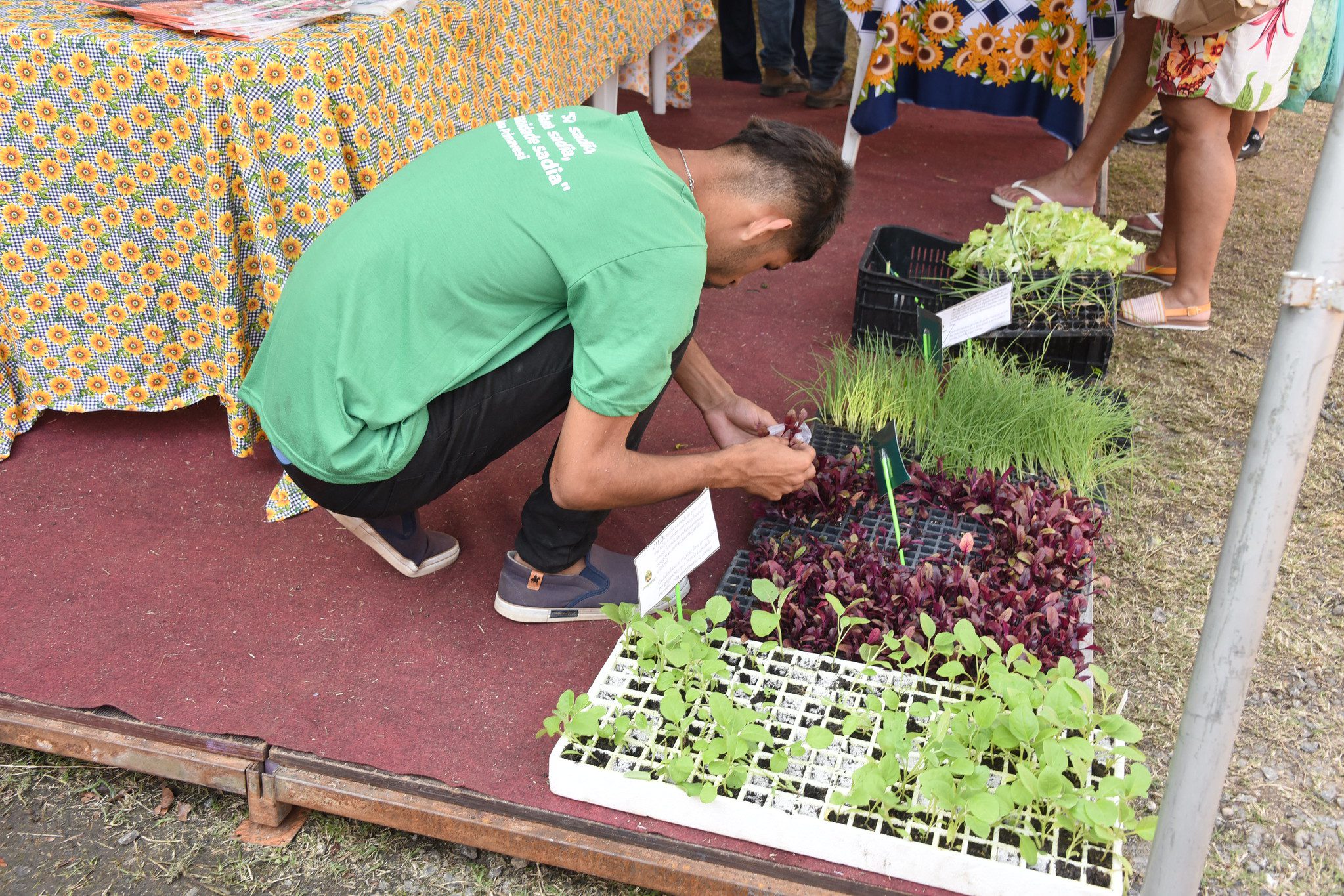 Maricá realiza Festa do Produtor Rural dias 3 e 4 de agosto