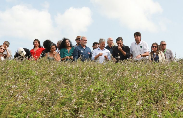 Maricá vai investir em agroecologia para dinamizar a economia