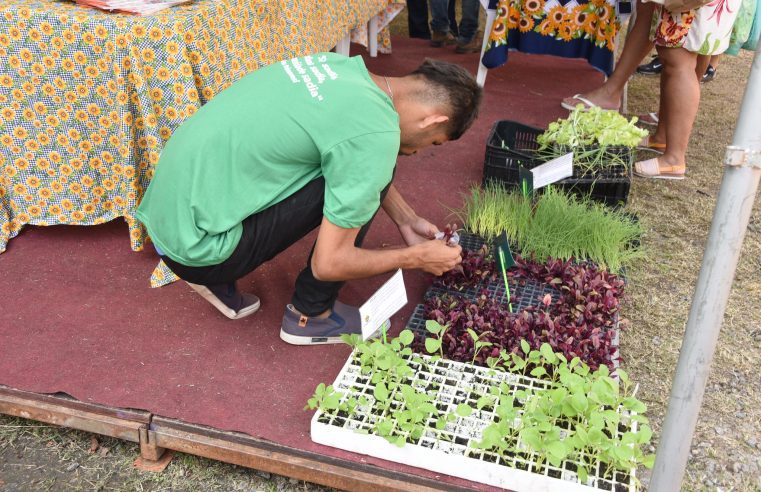 Maricá realiza Festa do Produtor Rural dias 3 e 4 de agosto