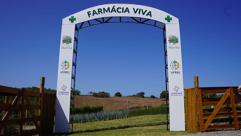 Profissionais da saúde pública de Maricá receberão capacitação em plantas medicinais e fitoterápicos