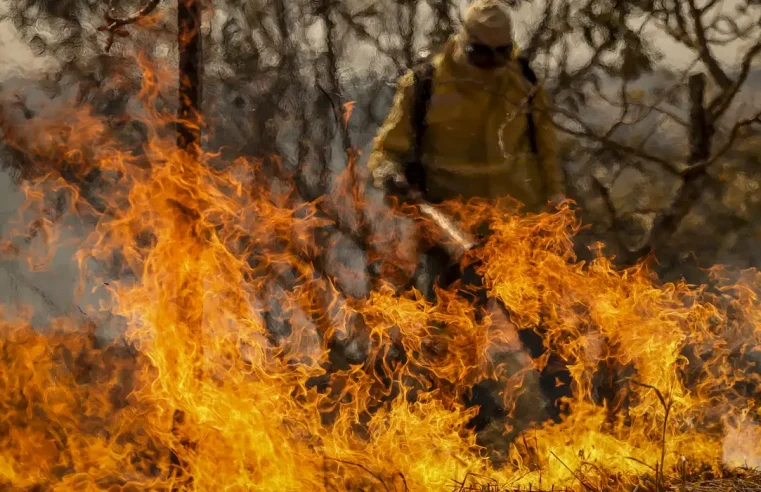 Entenda as linhas de investigação dos incêndios florestais no país