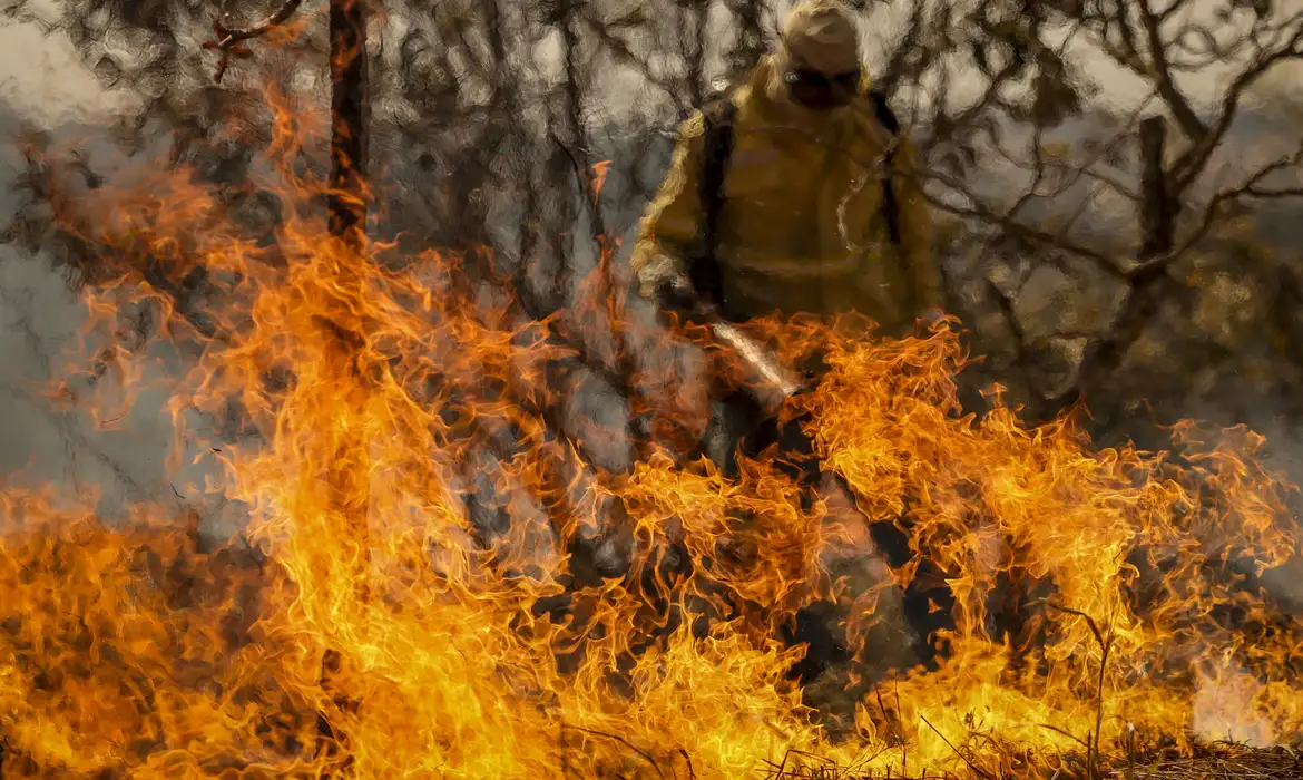 Entenda as linhas de investigação dos incêndios florestais no país