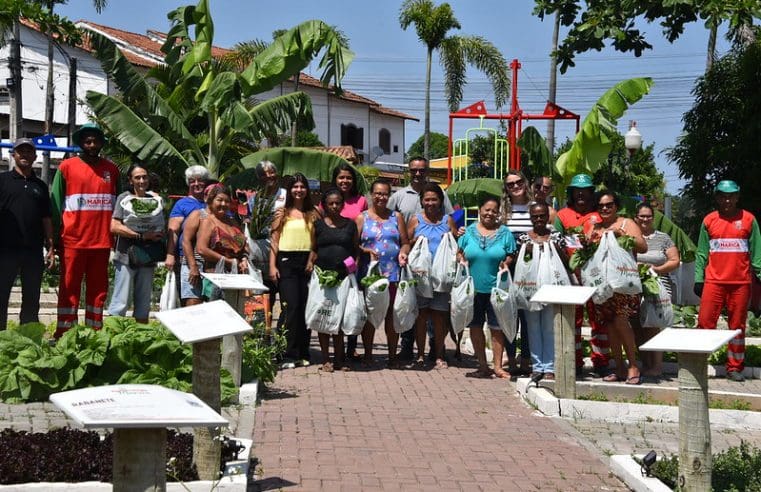 Agricultura realizou colheita na Praça Agroecológica do Flamengo