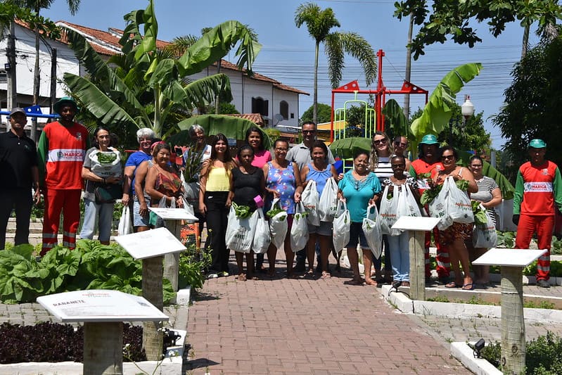 Agricultura realizou colheita na Praça Agroecológica do Flamengo