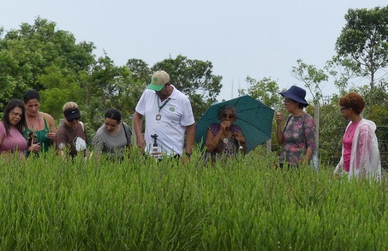 Farmácia Viva oferece experiência interativa e sensorial em Maricá