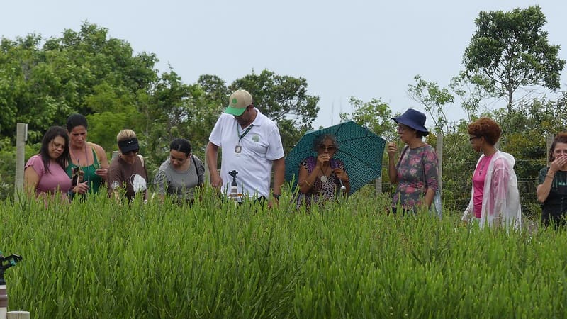 Farmácia Viva oferece experiência interativa e sensorial em Maricá