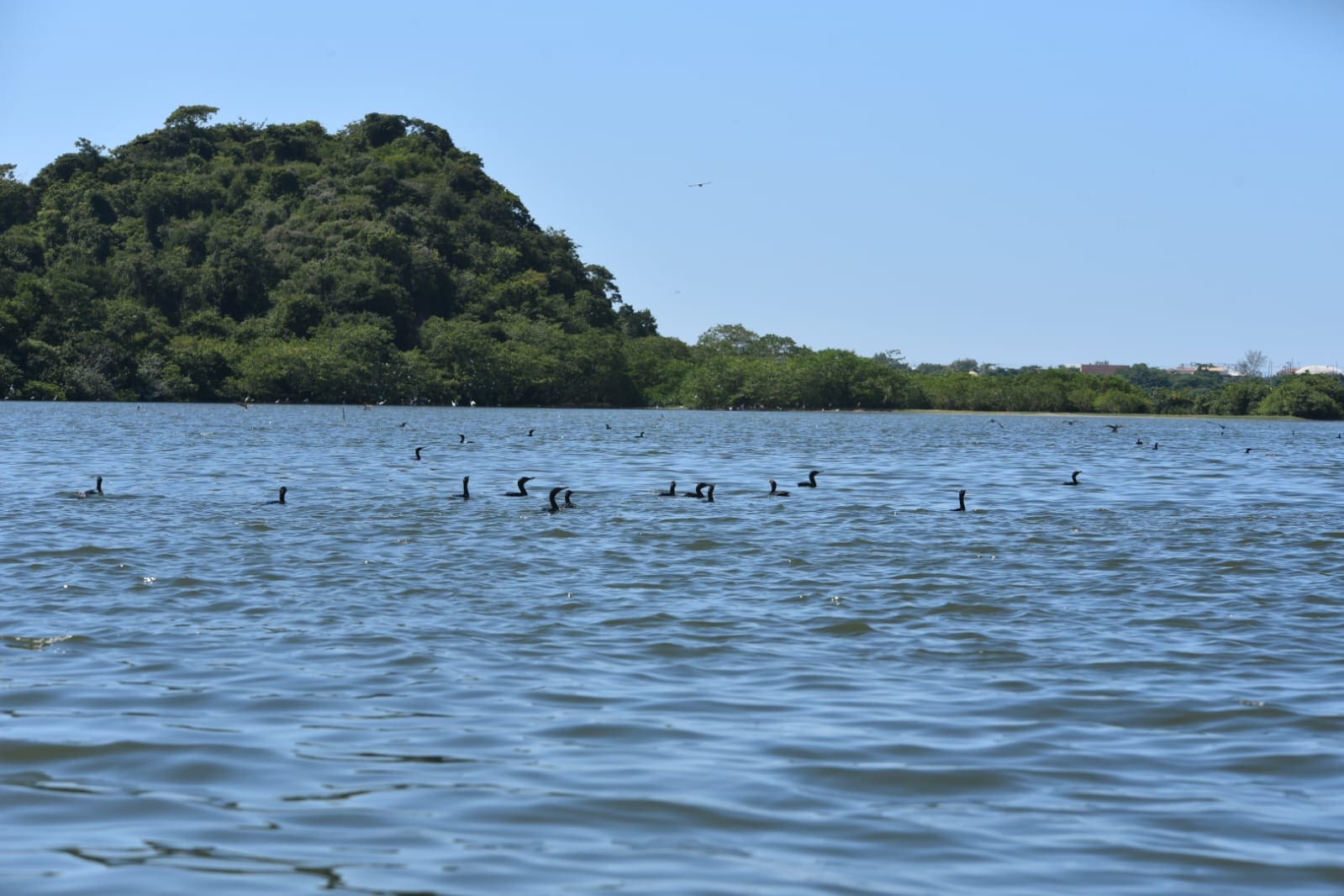 Maricá continua com tempo estável até sexta-feira (21/02)