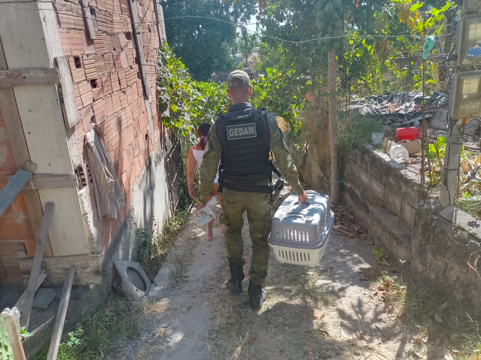 Guarda Municipal de Maricá resgatou animais silvestres em Itaipuaçu