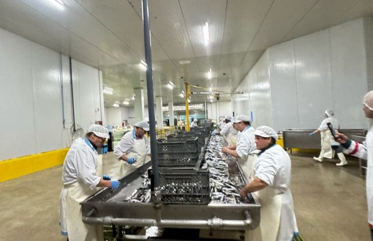 Maricá espera produzir 5 milhões de peixes enlatados por ano com fábrica de conservas em Bambuí