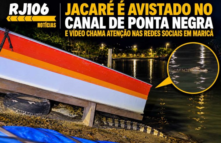 Jacaré é avistado no Canal de Ponta Negra e vídeo chama atenção nas redes sociais em Maricá